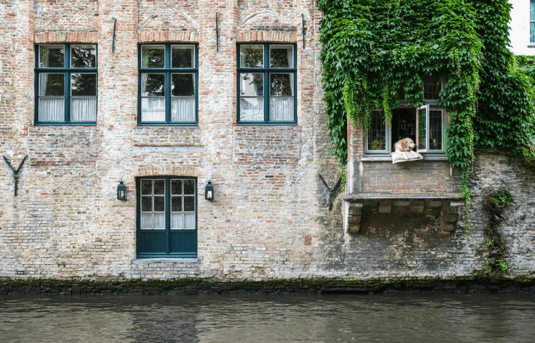 Een oude bakstenen gevel aan het water met groene ramen en een hond.