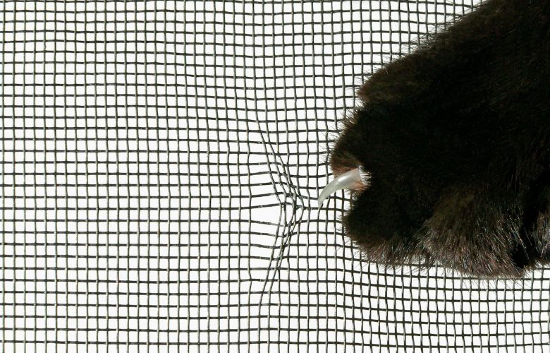 Scherpe nageltjes kat beschadigen vliegenraam 